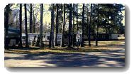 Large RV
                        Sites in the Pines